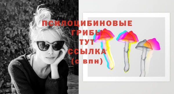 прущие крисы Белоозёрский