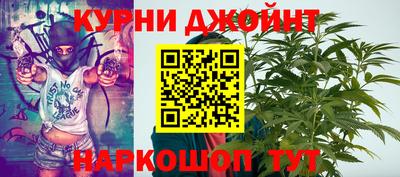 гидропоника Гагарин