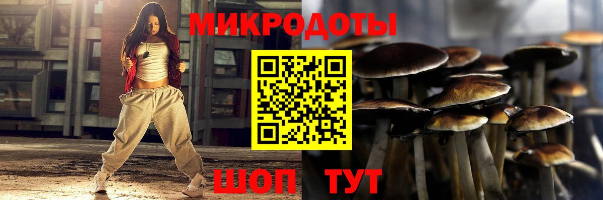 Галлюциногенные грибы Magic Shrooms Волжск